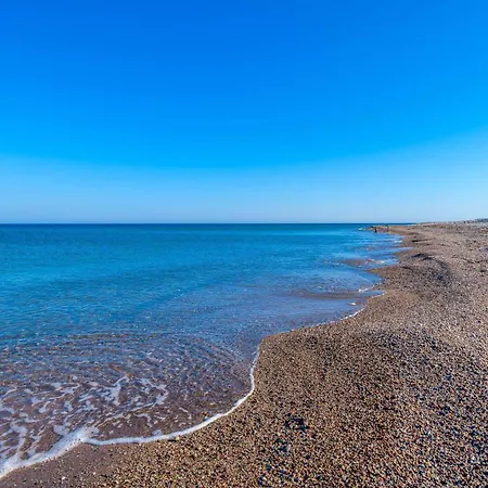 Seashore *